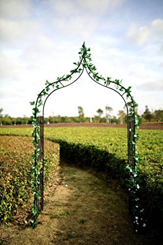1.Go Gothic Steel Garden Arch, 8'8" High x 4'5" Wide, Garden Arbor for Various Climbing Plant, Outdoor Garden Lawn Backyard