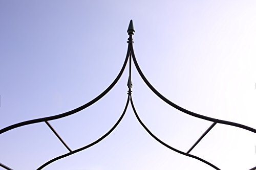1.Go Gothic Steel Garden Arch, 8'8" High x 4'5" Wide, Garden Arbor for Various Climbing Plant, Outdoor Garden Lawn Backyard