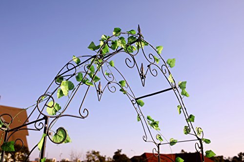 1.Go Steel Garden Arch, 8'1" High x 4'2" Wide, Garden Arbor for Various Climbing Plant, Outdoor Garden Lawn Backyard