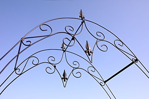 1.Go Steel Garden Arch, 8'1" High x 4'2" Wide, Garden Arbor for Various Climbing Plant, Outdoor Garden Lawn Backyard