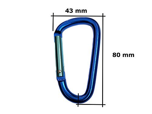 3" Aluminum Carabiner D Shape Buckle Pack, Keychain Clip, Spring Snap Key Chain Clip Hook Buckle