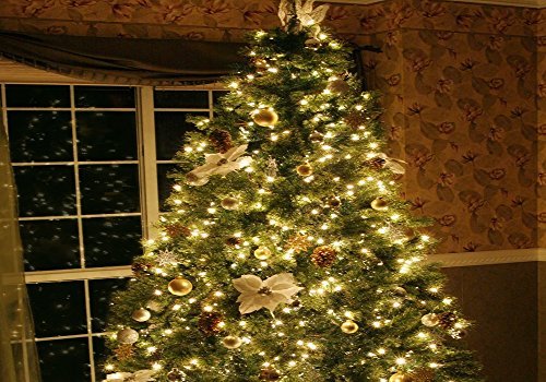 33 ft White LED Decorative Lights, Eufy Starlit String Light, Indoor and Outdoor , IP65 Water-Resistant, Decoration for Bedroom, Patio, Holiday, Wedding, and Party ( Copper Wire )