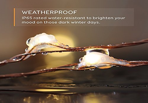 33 ft White LED Decorative Lights, Eufy Starlit String Light, Indoor and Outdoor , IP65 Water-Resistant, Decoration for Bedroom, Patio, Holiday, Wedding, and Party ( Copper Wire )