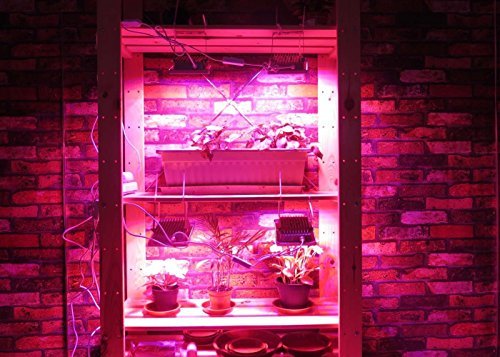 ACKE LED Grow Light Plant Light Full Spectrum for Seedlings Hydroponics Grow Lights of Plants Veg Herbs (SMD with Swithch)