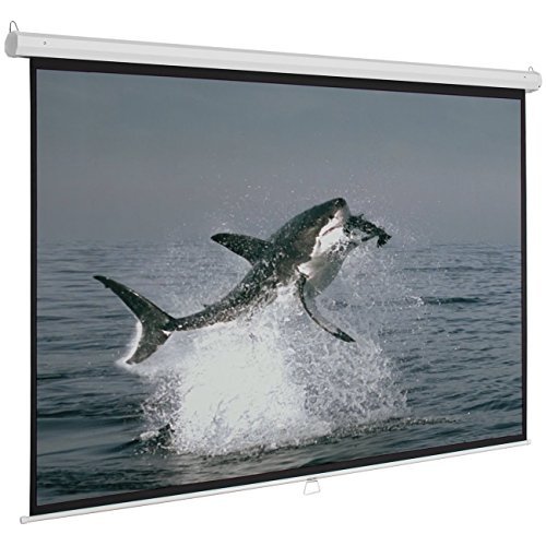 ARKSEN 120" Manual Pull Down Auto-Lock Projector Projection Screen White 96"x72" HD Moive 4:3