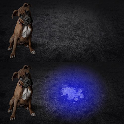 AUKEY UV Flashlight, 51 LEDs for Home & Hotel Inspection, Pet Urine & Stain Detection, Spot Counterfeit Money (Batteries Included)