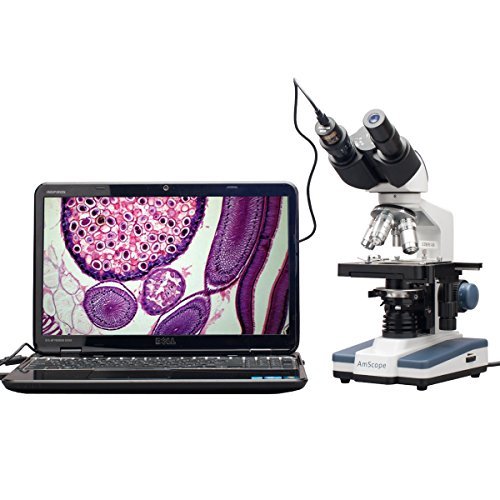 AmScope B120C-E1 Siedentopf Binocular Compound Microscope, 40X-2500X Magnification, LED Illumination, Abbe Condenser, Two-Layer Mechanical Stage, 1.3MP Camera and Software Windows XP/Vista/7/8/10