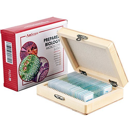 AmScope PS25 Prepared Microscope Slide Set for Basic Biological Science Education, 25 Slides, Includes Fitted Wooden Case