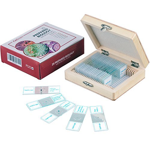 AmScope PS25 Prepared Microscope Slide Set for Basic Biological Science Education, 25 Slides, Includes Fitted Wooden Case