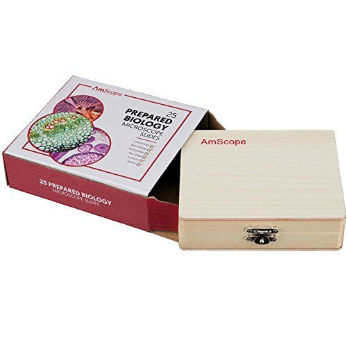 AmScope PS25 Prepared Microscope Slide Set for Basic Biological Science Education, 25 Slides, Includes Fitted Wooden Case