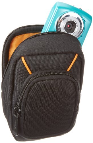 AmazonBasics Large Point and Shoot Camera Case