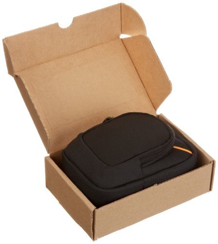 AmazonBasics Large Point and Shoot Camera Case