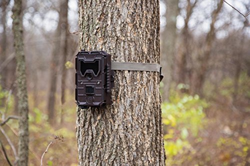 Bushnell Trophy Cam HD Aggressor 14MP Wireless Trail Camera