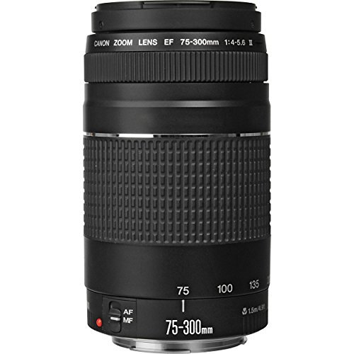 Canon EF 75-300mm f/4-5.6 III Lens Bundle with Accessory Kit for EOS 7D Mark II, 7D, 80D, 70D, 60D, 50D, 40D, 30D, 20D, Rebel T6s, T6i, T5i, T4i, SL1, T3i, T6, T5, T3, T2i, T1i, XSi, XS, XTi, XT