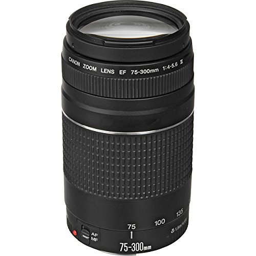 Canon EF 75-300mm f/4-5.6 III Lens Bundle with Accessory Kit for EOS 7D Mark II, 7D, 80D, 70D, 60D, 50D, 40D, 30D, 20D, Rebel T6s, T6i, T5i, T4i, SL1, T3i, T6, T5, T3, T2i, T1i, XSi, XS, XTi, XT