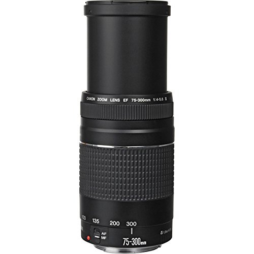 Canon EF 75-300mm f/4-5.6 III Lens Bundle with Accessory Kit for EOS 7D Mark II, 7D, 80D, 70D, 60D, 50D, 40D, 30D, 20D, Rebel T6s, T6i, T5i, T4i, SL1, T3i, T6, T5, T3, T2i, T1i, XSi, XS, XTi, XT