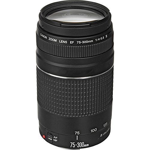 Canon EF 75-300mm f/4-5.6 III Lens Bundle with Manufacturer Accessories & Accessory Kit for EOS 7D Mark II, 7D, 80D, 70D, 60D, 50D, 40D, 30D, 20D, Rebel T6s, T6i, T5i, T4i, SL1, T3i, T6, T5, T3, T2i