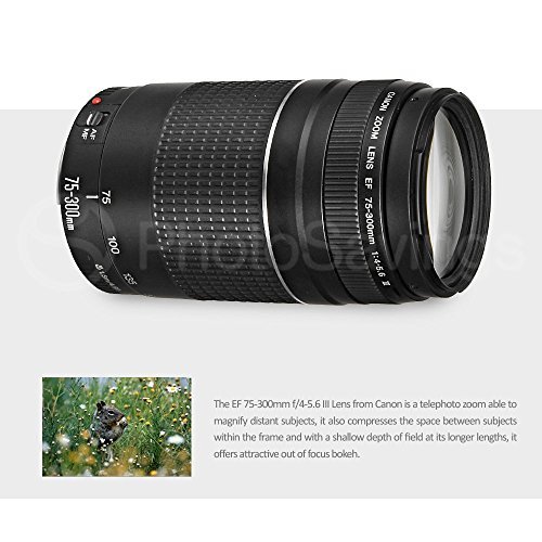 Canon EF 75-300mm f/4-5.6 III Lens + Tele & Wide Lens + 3 Pc filter Set + Close Up set + Lens Pouch + Cleaning Kit