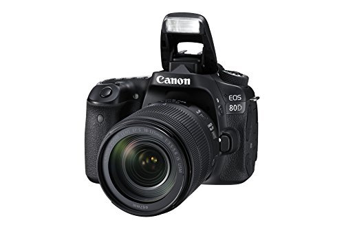 Canon EOS 80D Digital SLR Kit with EF-S 18-135mm f/3.5-5.6 Image Stabilization USM Lens (Black)