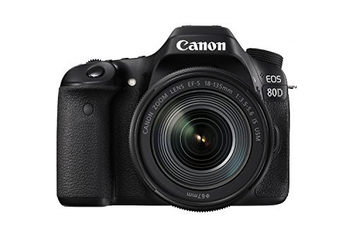 Canon EOS 80D Digital SLR Kit with EF-S 18-135mm f/3.5-5.6 Image Stabilization USM Lens (Black) (International Model) No Warranty