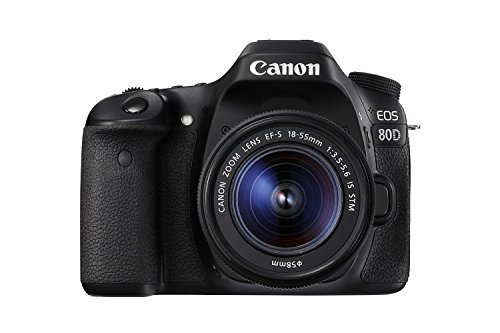 Canon EOS 80D Digital SLR Kit with EF-S 18-55mm f/3.5-5.6 Image Stabilization STM Lens (Black) (International Model) No Warranty