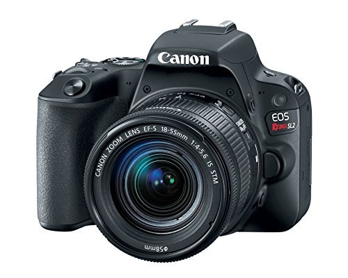 Canon EOS Rebel SL2 DSLR Camera with EF-S 18-55mm STM Lens - WiFi Enabled