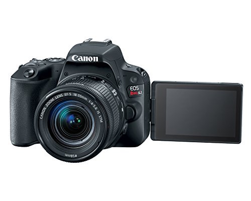 Canon EOS Rebel SL2 DSLR Camera with EF-S 18-55mm STM Lens - WiFi Enabled