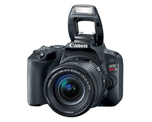 Canon EOS Rebel SL2 DSLR Camera with EF-S 18-55mm STM Lens - WiFi Enabled