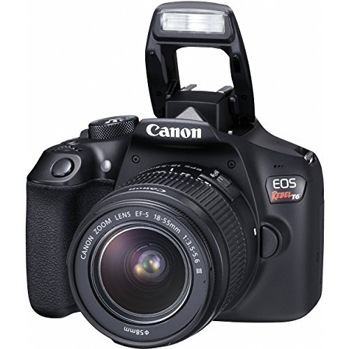 Canon EOS Rebel T6 DSLR Camera with EF-S 18-55mm f/3.5-5.6 IS II Lens, EF 75-300mm f/4-5.6 III Lens, 64GB, along with Fibertique Cleaning Cloth, and Xpix cleaning Kit and Deluxe Accessory Bundle