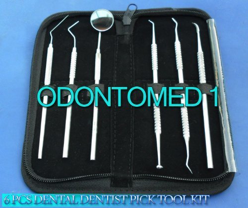 Dental Dentist Pick Tool Kit 6 Piece