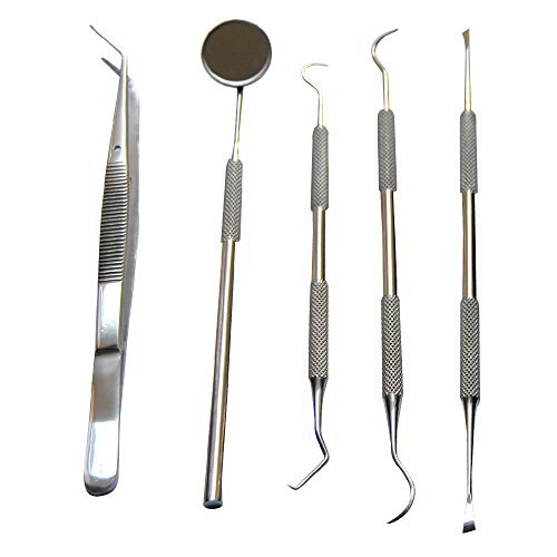 Dentist Prepared Tools Kit | Dental Pick Dental Floss Gum Floss Threaders Toothpicks Dental Hygiene Kit Set Dental...