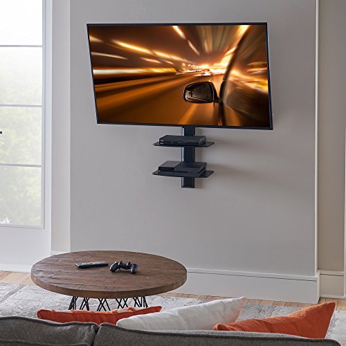 ECHOGEAR Dual Steel Wall-Mounted AV Shelf Supports up to 20lbs of Streaming Devices, Game Consoles, and Cable Boxes - EGAV2