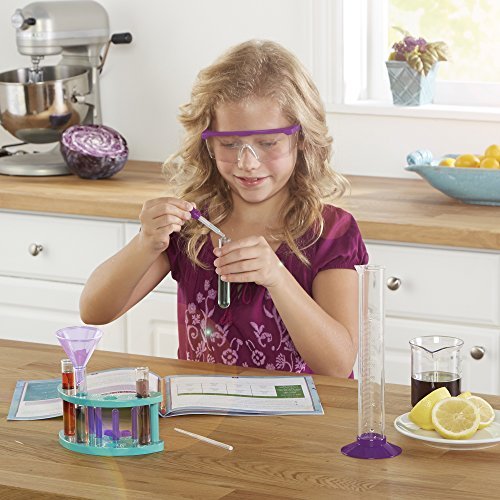 Educational Insights Nancy B's Science Club Stir-It-Up Chemistry Lab & Kitchen Experiments Journal