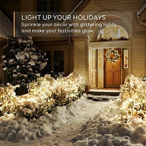 Eufy Starlit String Light Indoor and Outdoor Dimmable Warm White LED with Remote Control, IP20 Water-resistant, 33 ft ( Copper Wire)