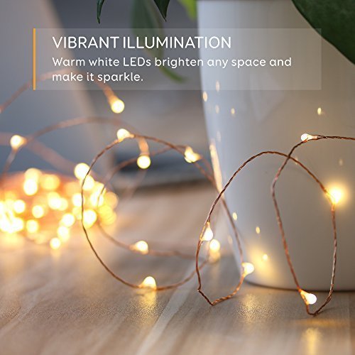 Eufy Starlit String Light Indoor and Outdoor Dimmable Warm White LED with Remote Control, IP20 Water-resistant, 33 ft ( Copper Wire)