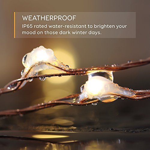 Eufy Starlit String Light Indoor and Outdoor Dimmable Warm White LED with Remote Control, IP20 Water-resistant, 33 ft ( Copper Wire)