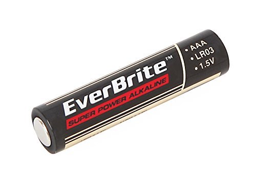 EverBrite 96-Pack Alkaline AAA Battery