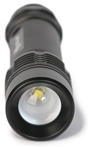 Fire Ant PT320 - Tactical LED Flashlight - Ultra Bright & Zoomable - 300 Lumen CREE Bulb from 3 AAA Batteries. Shockproof, Weather-Sealed & Freakishly Bright. For Survival, Camping, Fishing, Hiking