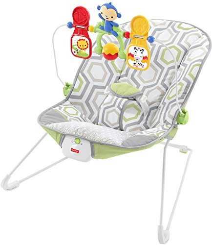 Fisher-Price Baby's Bouncer, Geo Meadow 