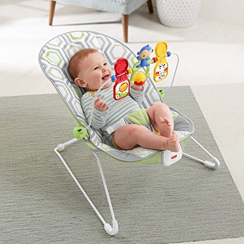 Fisher-Price Baby's Bouncer, Geo Meadow 