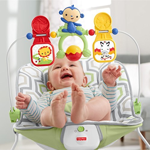 Fisher-Price Baby's Bouncer, Geo Meadow 