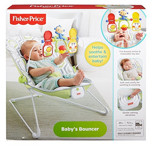 Fisher-Price Baby's Bouncer, Geo Meadow 