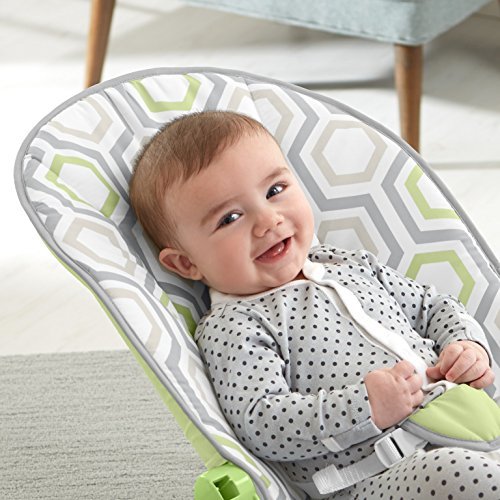 Fisher-Price Baby's Bouncer, Geo Meadow 