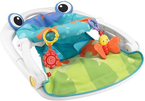 Fisher-Price Sit-Me-Up Floor Seat, Multicolor 