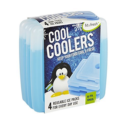 Fit & Fresh Cool Coolers Slim Reusable Ice Packs for Lunch Boxes, Lunch Bags and Coolers, Set of 4, Blue