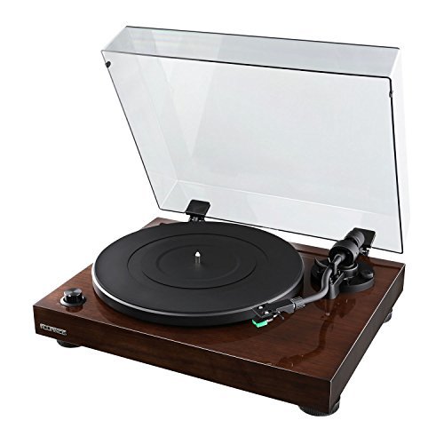 Fluance High Fidelity Vinyl Turntable Record Player with Dual Magnet Cartridge, Elliptical Diamond Stylus, Belt Drive, Built-in Preamp, Adjustable Counterweight & Anti-Skating, Solid Wood Cabinet RT81