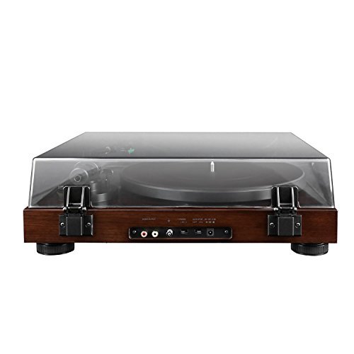 Fluance High Fidelity Vinyl Turntable Record Player with Dual Magnet Cartridge, Elliptical Diamond Stylus, Belt Drive, Built-in Preamp, Adjustable Counterweight & Anti-Skating, Solid Wood Cabinet RT81