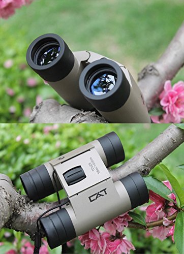 GMJF 10x25 Folding Binoculars Telescope with Low Light Night Vision for outdoor birding, travelling, sightseeing, hunting, etc 