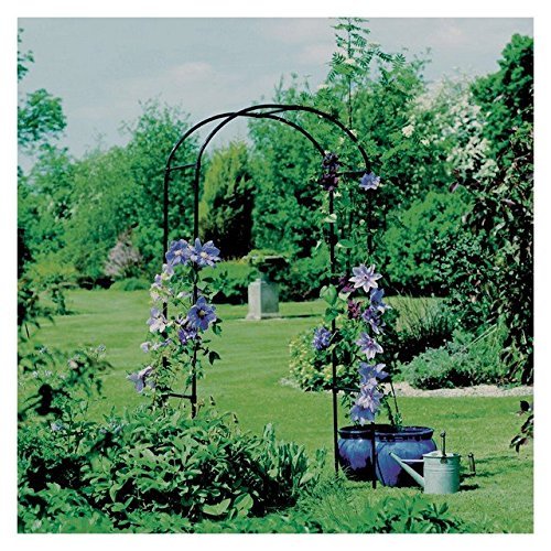 Gardman R350 Rose Arch, Black, 3' 3\" Wide x 6' 3\" High