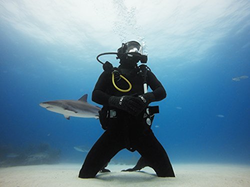 GoPro Blue Water Dive Filter (for Super Suit) (GoPro Official Accessory)